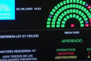 Quedó sin efecto el veto de Milei a la Emergencia en Discapacidad