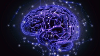 Hoy se celebra el Día Mundial del Cerebro