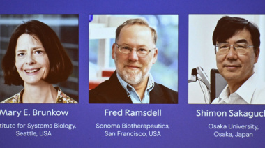 El Nobel de Medicina 2025 fue para tres investigadores del sistema inmunitario