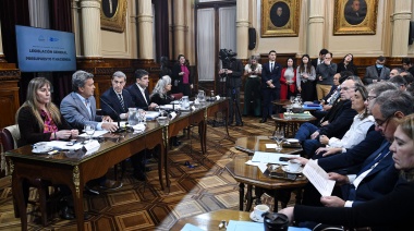 Menem reconoció los "errores" en la Ley Bases enviada al Senado