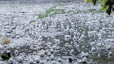 Fuertes tormentas con granizo en varios distritos bonaerenses y el AMBA