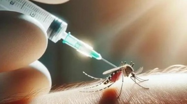 DENGUE: No habrá vacunas ni campaña de prevención