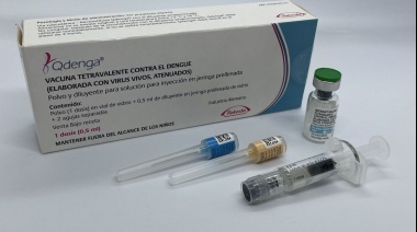 A quiénes estará dirigida la campaña de vacunación contra el Dengue