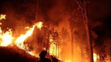 Milei va a recorrer los incendios en Córdoba