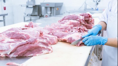 El precio de la carne vacuna aumentó 40,9% en diciembre y sumó 307,3% en un año