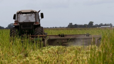 La Provincia lanzó nuevas medidas para el sector agropecuario