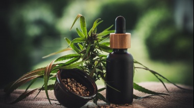 Aceite de cannabis: científicas comprobaron que es eficaz para epilepsias resistentes a fármacos