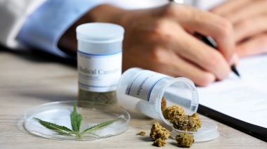 El Gobierno reglamentó la Ley de Cannabis Medicinal
