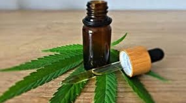La Provincia oficializó el programa de Cannabis terapéutico