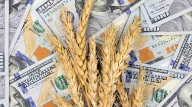 Entró en vigencia la nueva edición del dólar agro