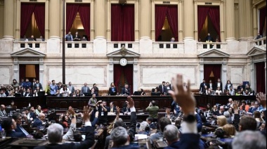 Cómo fue la votación