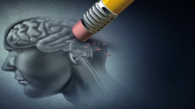Descubrieron una proteína que protegería al cerebro de la enfermedad de Alzheimer