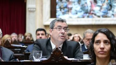 "Le sumaron más oscurantismo al debate": Martínez rechazó los nuevos cambios a la Ley ómnibus
