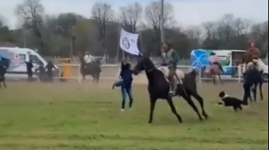 En una jineteada en San Miguel, 16 proteccionistas fueron heridos a rebencazos