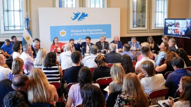 El peronismo define la estrategia para frenar el decretazo y la ley ómnibus de Milei