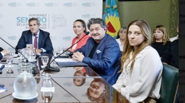 El bloque de senadores de LLA pidió la intervención de las Fuerzas Federales en la Provincia