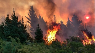 Más de 200 evacuados y casi 2.000 hectáreas quemadas