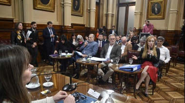 El proyecto sobre devolución del IVA obtuvo dictamen en el Senado