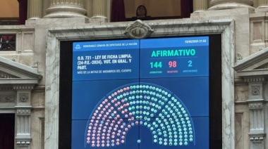 "Ficha limpia" obtuvo media sanción en la Cámara Baja