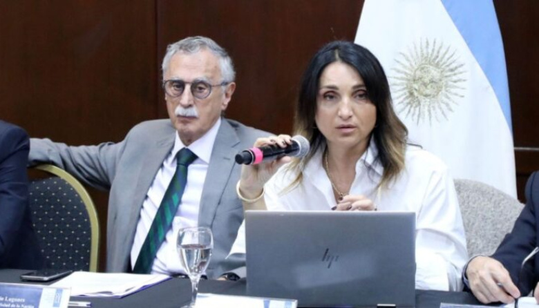 La viceministra de Salud renunció a su cargo a través de su cuenta oficial de X