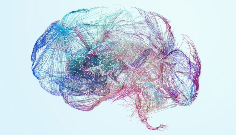 Día Mundial del Cerebro: cuáles son las señales de alerta que pueden ayudar a detectar un ACV