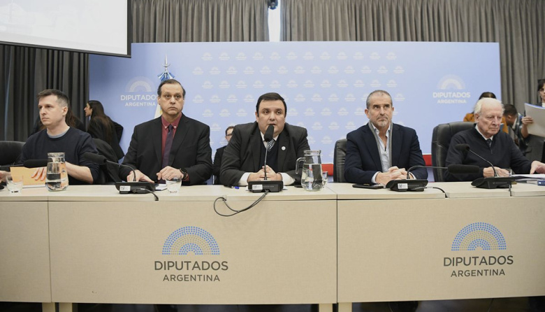 El oficialismo logró dictamen de mayoría para tratar su proyecto de discapacidad