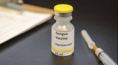 Luis Camera sobre la nueva vacuna contra el dengue: "Es para los cuatro serotipos que circulan en el país"