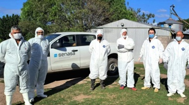 Una entidad agropecuaria reclama al SENASA una "política sanitaria más efectiva para el control de la influenza aviar"