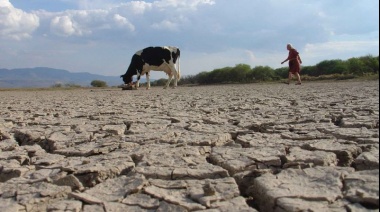 Por la sequía, declaran la emergencia agropecuaria en Catamarca