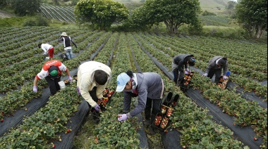Situación laboral compleja: 4 de cada 10 empleados privados están en negro