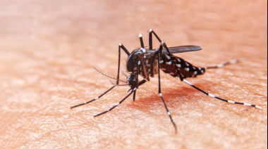 Corrientes registró diez muertes por dengue, 200 casos activos y 1.000 acumulados