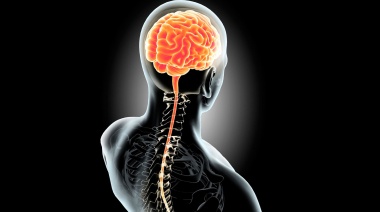 Día Mundial del Cerebro