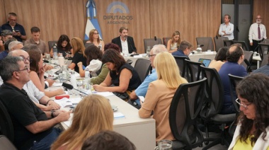 Especialistas apuntaron contra Milei por la criptoestafa en la Cámara de Diputados
