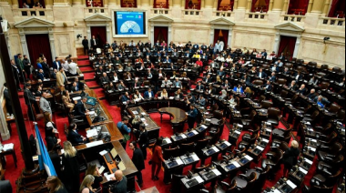 El Senado rechazó Ficha Limpia