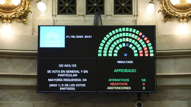 El Senado convirtió en ley el financiamiento universitario