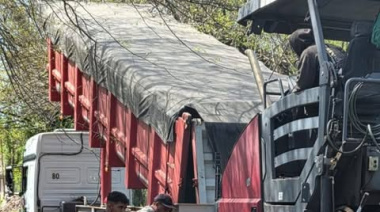 Llegó el pavimento a la calle Santo Domingo de José C Paz