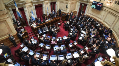 El Senado rechazó hoy los vetos presidenciales a los proyectos de emergencia en pediatría y el de financiamiento universitario