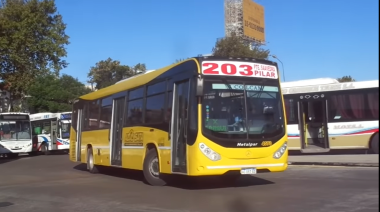 Aumentaron casi 10% los colectivos del AMBA