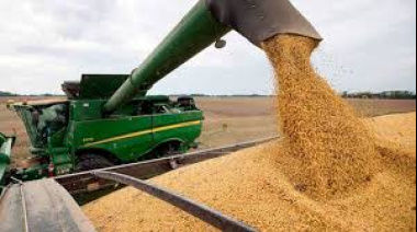 Nueva baja de retenciones para los agroexportadores