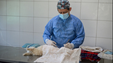 Centro de atención Veterinaria Zoonosis de José C Paz