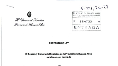 Ishii expresó en redes: "Esto no es una bandera partidaria ni una discusión electoral"