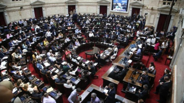 Media sanción para el Super Rigi y la aprobación del pago a los fondos buitre