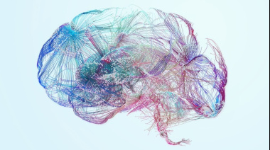 Día Mundial del Cerebro: cuáles son las señales de alerta que pueden ayudar a detectar un ACV