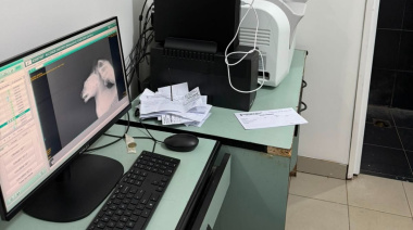 Mas tecnología para atender la salud de nuestras mascotas