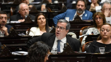 La oposición impulsa una sesión especial para derogar el DNU 70/23