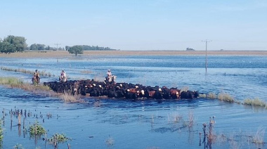 La Provincia avanza con una denuncia penal contra Milei y Caputo por malversación de fondos públicos