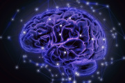 Hoy se celebra el Día Mundial del Cerebro