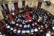 El Senado rechazó hoy los vetos presidenciales a los proyectos de emergencia en pediatría y el de financiamiento universitario