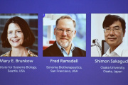 El Nobel de Medicina 2025 fue para tres investigadores del sistema inmunitario
