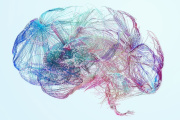 Día Mundial del Cerebro: cuáles son las señales de alerta que pueden ayudar a detectar un ACV